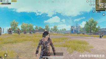 和平精英新军需最新爆料第三期,神秘军需即将揭晓，玩家期待值飙升